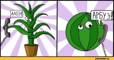 Готовимся к лету: 10 самых крутых резных арбузов