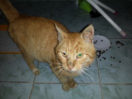 Люди это худшее!покинули,мы взяли на улице!