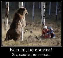 Медведь