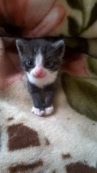 Мой хороший! 3 недели.