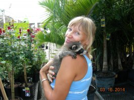 Еноты тоже хорошие.