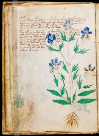 Странные открытия, которым ученые не нашли обьяснение