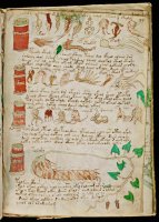 Очевидно, что рисунки на плато Наска ребёнок рисовал, пока взрослые на планету спускались. 

Манускрипт Войнича 


Загадка века разгадана, там премию кто-нибуть назначал? Эту книгу листали вообще? - Справочник знахаря. 

Огни Марфа - плазмоиды. 

Всё остальное околонаучная шняга не имеющая ни чего общего с реальностью.