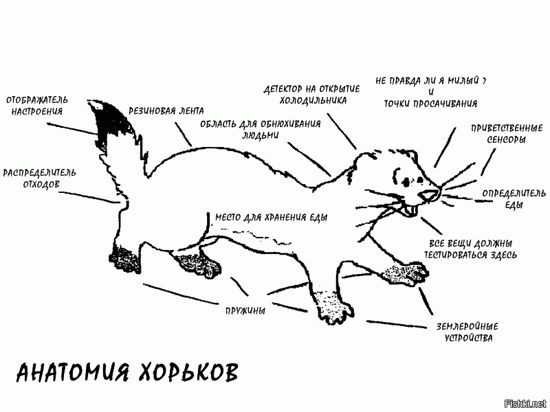 Принципиальная схема котэ