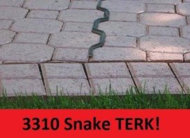 Что бы ты ни делал, делай это как хозяин