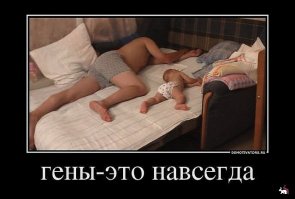 Папа может даже горы свернуть... когда немного отдохнёт 