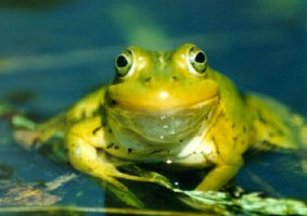 глаза её выдают