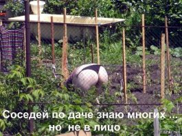 Как обустроить дачу тем, у кого чешутся руки!