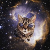 не сдержался