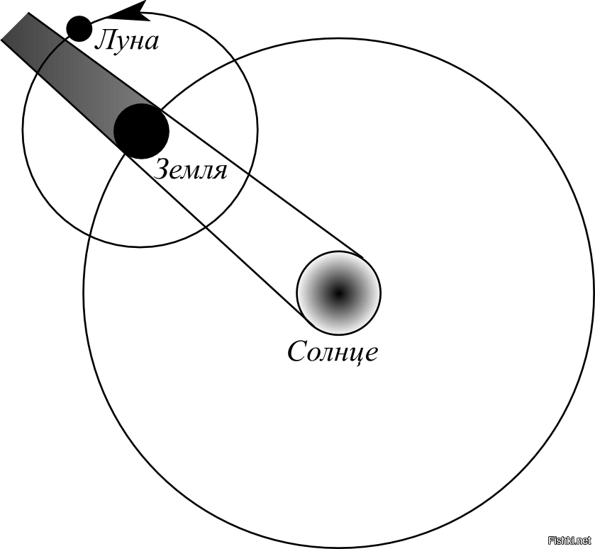 Луна схема. Схема движения Луны вокруг земли. Схема движения Луны вокруг солнца. Схема движения земли и Луны вокруг солнца. Солнце земля Луна схема.