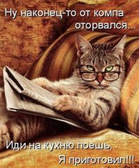 Ахах! Понравились с котейками!