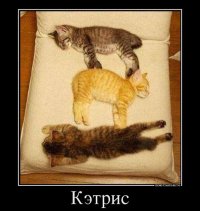 Ахах! Понравились с котейками!