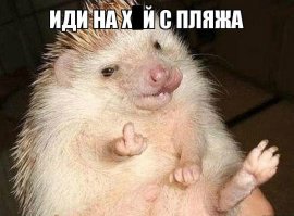 бомбит? приложи морожку к пердаку своему. авось полегчает.