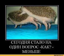 Как кричат Ёжики?