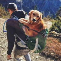 20 незаменимых вещей для похода