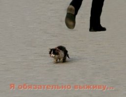 Девушка нашла старый чемодан в парке. Когда она заглянула внутрь, ее сердце разбилось