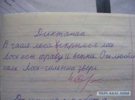 Смешные комментарии и высказывания из социальных сетей 