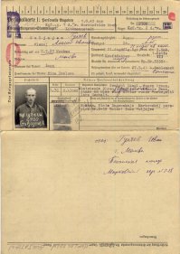 У моей жёны было два двоюродных деда, о которых с начала ВОВ небыло ни каких вестей. Считалось, что они погибли в начале ВОВ в небе над укроинай. 
В этом году стало многое известно из их биографии.
На "ОБД"  и "Подвиг народа" , по- Гуляев Алексей Иванович. 21иап, 27 мая 1943г четверка истребителей поднялась на перехват "рамы" нем. корректировщика- FW-189. Алексей был ведущим одной из двух пар, после атаки ведомые потеряли своих ведущих. "Рама" одна не ходила, возможно при  атаке их самих атаковали  нем. истребители. Из боевого вылета Алексей не вернулся, а дальше нем. карточка из Морицфельде - лагеря для пленных наших летчиков, значит возможно был сбит, сумел воспользоваться парашютом. После чего попал в плен.второй дед Гуляев Василий Иванович. Старший лейтенант командир эскадрильи 301 истребительного авиационного полка 1920-22.12.1943 был переброшен с дальнего востока на фронт всостав 34летчика из 301иап воевать начали в небе Кубани. Кубанское воздушное сражение признается пиком в напряжении войны в  воздухе. 16гиап воевал там же. Покрышкин писал что перед началом боев узнал что прибыл полк дальневосточников,без боевого опыта разумеется. Он предлагал провести конференцию по  обмену опытом, ввести в курс дела, поведать о применяемых немецкими пилотами приемах в воздушных боях, Но по словам Покрышкина предложение дальневосточники  отвергли . в первые 15 дней интенсивных воздушных боев из 34 летчиков 301го полка было потеряно 11 ,ранено 5. Но дед пережил этот период.