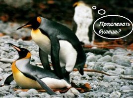 Памятники всякие нужны, и они очень важны!!!