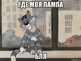 Этот пингвин каждый год проплывает 8 тысяч км, чтобы повидать своего спасителя