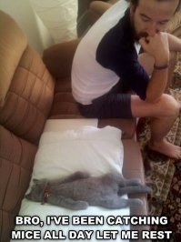 Братуха,я словил мышь и теперь буду весь день отдыхать:)