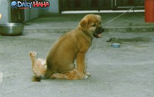 Поражает не сама наглость, а возможности, которые она открывает