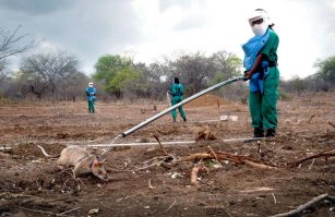 что это за хрень?