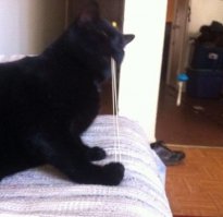 улыбнула эта особенно!))