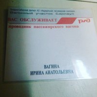 Не очень удачная фамилия для работы с людьми. С другой стороны, если не чужда самоирония, то почему бы и нет. Вагина - неотъемлемая часть Ирины Анатольевны.