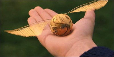 а снитч ни кто не поймал