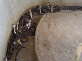 Бухгалтера в а#уе от такой уборки, не меньше меня.