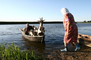 Неповторимые кадры с родных просторов