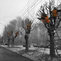 грачи прилетели. Римейк