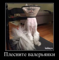 Демотиваторы 11.05.2016