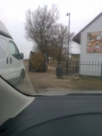 Сфоткал на просторах Калининградской обл. в феврале-марте примерно :)