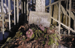 Уже писал на Фишках - мой дядька там сидел. Попал, как военнопленный, после окружения под Ревелем  (Таллином)  в 1941-м. 
Кормили настолько плохо, что военнопленные Красноармейцы просто умирали от голода. Дядька в том числе.  В лагере работала команда кинологов – выращивали овчарок.  Для тренировки,   собак кормили только человечиной – попал в такую команду и он – когда совсем обессилел от голода. Отчего- то собаки им побрезговали – вероятно,  запах был специфический – от авитаминоза распухли и стали нарывать лимфатические узлы.  Кинологи – не охрана, просто выбросили очередной полутруп за проволоку. 
Кроме военнопленных в лагере было несколько бараков бытовиков – в основном с Восточной Европы.  В тот день умер авторитетный вор, чех, взломщик – Ян, по моему,  Ковальчик.  Уголовники подобрали дядьку, поменяли куртки с трупа на него, и стал он чехом.  Врач – француз из Красного креста делал операцию,  капельницы, глюкоза – откачали.  А в 1944- м лагерь  переехал из Латвии в Западную Германию, и, после войны дядька попал уже в Американскую зону.  Полгода доказывал, что он Советский военнопленный, доказал. Ещё на десятку – типа за пособничество – а нечего было чехом прикидываться. Но это уже совсем другая история. 
Я всю жизнь звал его – дядя Ян. А был он -  Иван Николаевич.