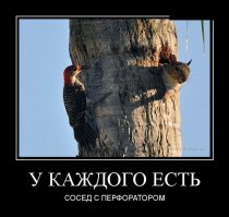 Демотиваторы 11.05.2016