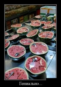 Демотиваторы 11.05.2016