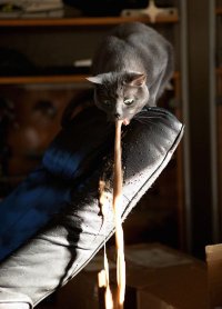 Оригинальные лампы и вазы, сделанные из просроченного мяса 