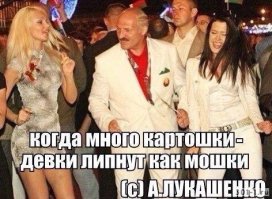 Необычное применение обычной картошки