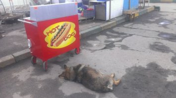 пришел пообщаться с духами предков (((