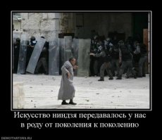 5 незаметных фактов о ниндзя