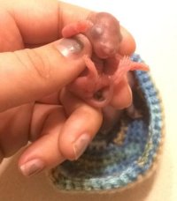 матрасик уматный)