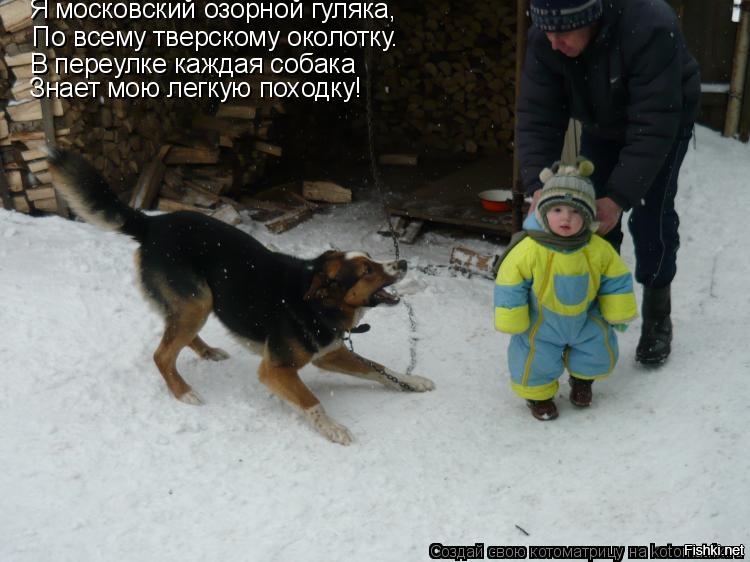 Я московский озорной гуляка. В переулке каждая собака знает мою легкую. В переулке каждая собака знает мою легкую. Есенин стихи московский озорной гуляка. Каждая собака знает мою легкую походку.