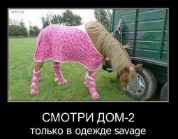 заибали своей рекламой иродынах ....