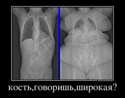 Сверхмассивные чёрные дыры 