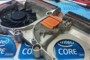 Тут во всем виноват серый котейка)))