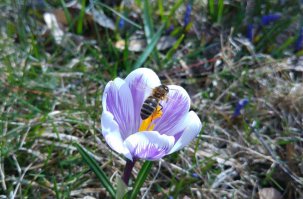 Тоже попробую внести свой вклад :)