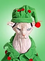 Да, это очень мило