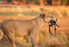 there is not money there is not a photo